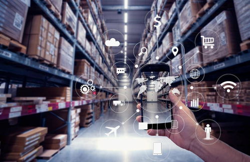 躺不平的创业新生代 2023出海风潮中的海空自贸与海外仓新势力